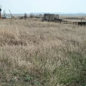 Продам земельный участок в Ордынском районе на берегу Обского моря