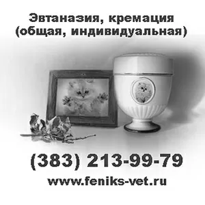 Кремация (кремировать) домашних животных цена с выездом в Новосибирске