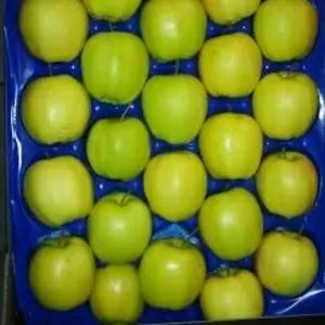 Польские яблоки компания EUROHARVEST 